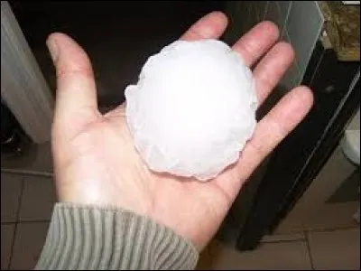 Albert n'a jamais vu de ________ aussi gros.