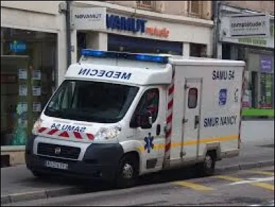 Que voyez-vous sur cette image ?