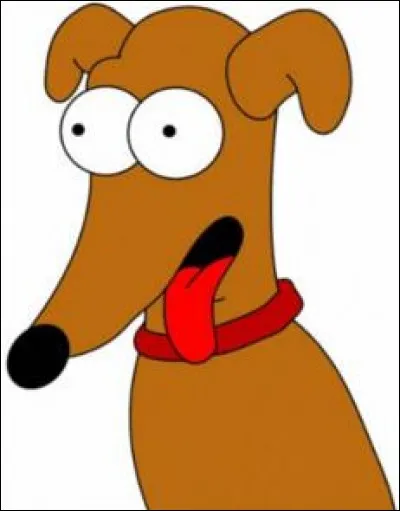 Le chien des Simpson se nomme :