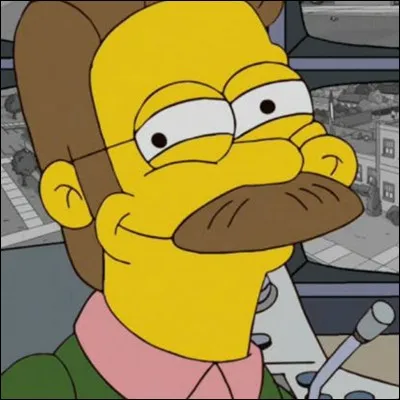 Comment Homer appelle-t-il son voisin Ned Flanders ?