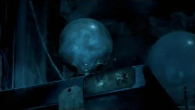 Qui a fait la prophétie concernant Harry Potter et Voldemort ?