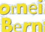 Quiz 6 - Corneil et Bernie