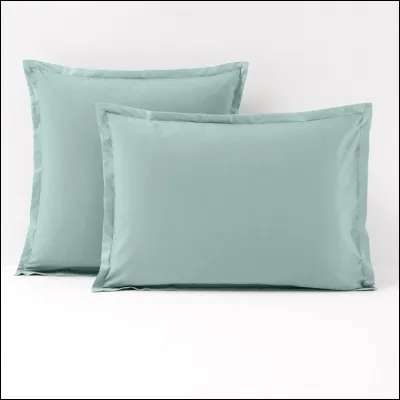 Est souvent au bord de la ruine, c'est l'...