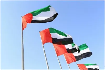 Cliquez sur le drapeau polonais.