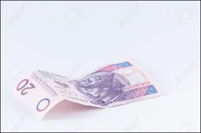 Quelle est la monnaie polonaise ?