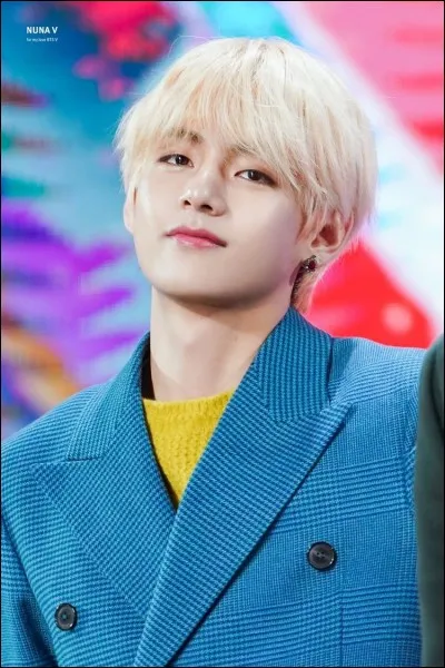 J'aimerais que Kim Taehyung soit mon partenaire.