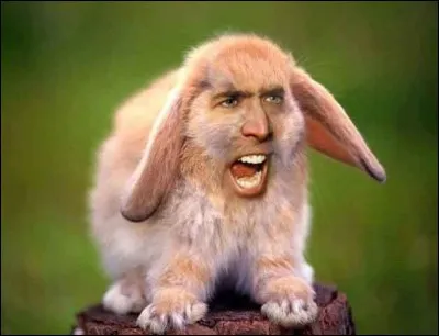 Un meurtrier sanguinaire se balade en ville et Denis, ton best friend forever se balade gaiement...