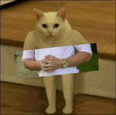 Ton meilleur ami, Denis, se fait transformer en zombie sous tes yeux :