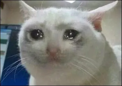 Serais-tu prêt à tuer un animal ?