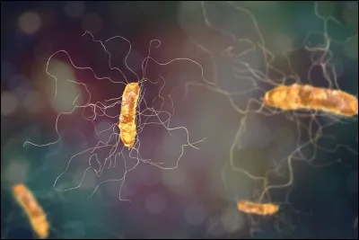 Quelle est la cause la plus fréquente du botulisme ?