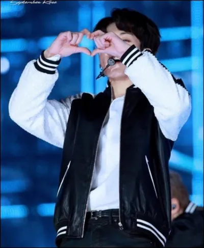 Son animal préféré est le...