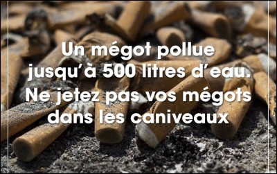 Les mégots de cigarettes polluent.