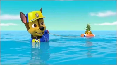 Complétez la phrase avec le verbe au présent de l'indicatif : "Je  à la plage" ?