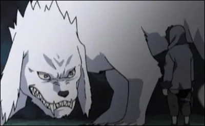 Un épisode hors-série a été consacré pour Kiba et son chien. Quel est le titre de cet épisode ?