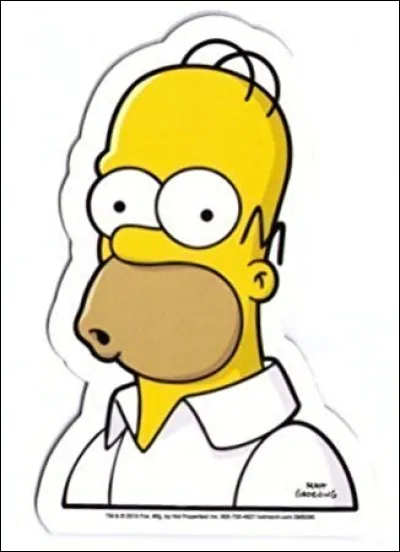 Qu'est-ce qui est logé dans le cerveau d'Homer ?
