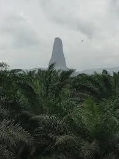 Le Pico de Sao Tomé est le point culminant du pays : quelle est son altitude ?