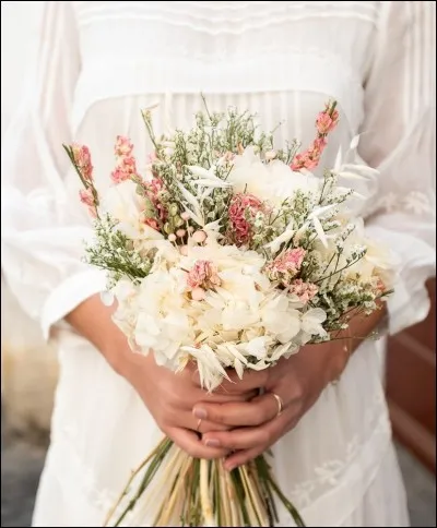 Que sont les dahlias ?