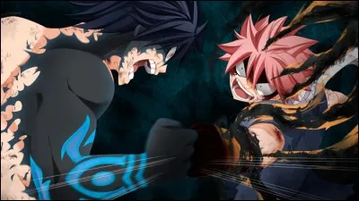 Qui a interrompu le combat de E.N.D (Natsu) contre Grey Fullbuster ?