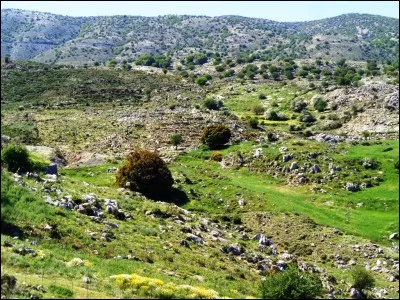 Naturellement, comme tout produit, la crème solaire a aussi des effets néfastes. Parmi ceux-ci, nous pouvons citer :