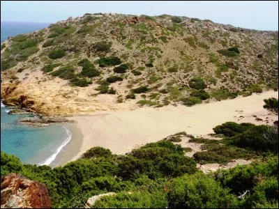 Contre quels rayons solaires la crème solaire nous protège-t-elle ?