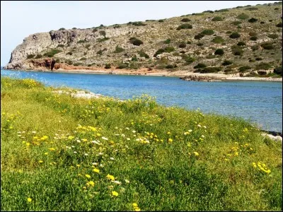 On entend souvent dire que les peux foncées sont mieux armées contre les coups de soleil. Une personne ayant la peau très noire est-elle naturellement immunisée contre les coups de soleil ?
