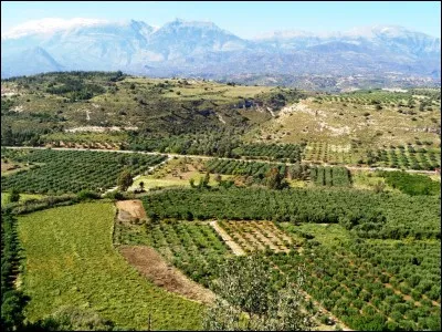 Vrai ou faux. Une huile ou une crème autobronzante protège tout aussi efficacement des coups de soleil qu'une crème solaire ?