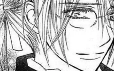 Quiz Vampire knight