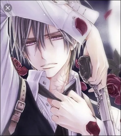 Qui est Zero Kiryu ?