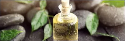 Quel arbuste, célèbre pour son huile, ne pousse qu'au Maroc ?