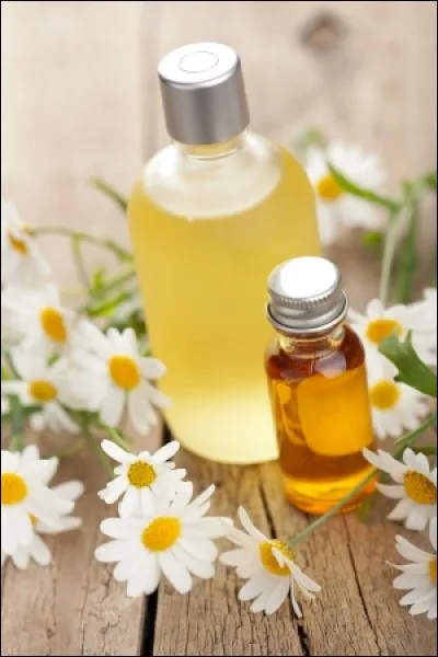 Quelle plante, fournissant huile et fourrage, tire son nom d'un mot néerlandais signifiant graine de chou ?