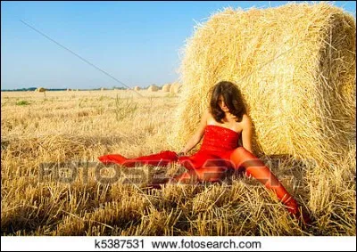 Quelques mots choisis : Avec le soleil pour témoin !