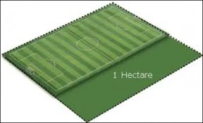 Combien y a-t-il de mètres carrés dans un hectare ?