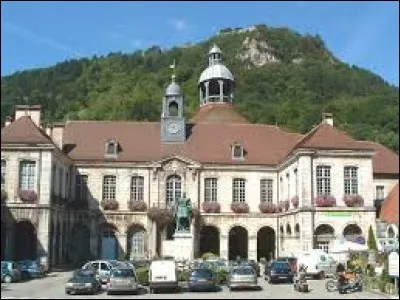 Quel est le gentilé des habitants de Salins-les-Bains (Jura) ?