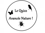 Quiz Quizz : Les papillons
