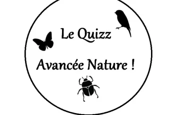 Quiz Journal Intime