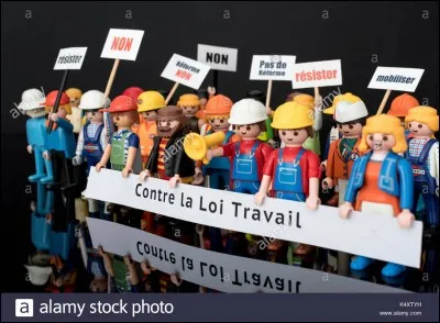 Par quel moyen plus rapide le gouvernement peut-il mettre en place sa politique ?