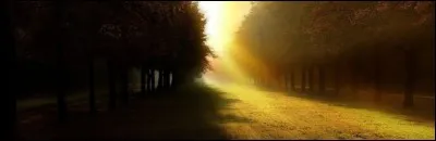 Dans la tradition juive, une fois le décès constaté, le corps est dévêtu, recouvert d'un drap blanc et allongé, les pieds vers la porte de sortie. Cochez les trois bonnes réponses :