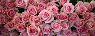 En ce qui concerne les toilettes laïques : en France, beaucoup d'aides soignant(e)s des maisons de soins font une toilette avant la venue des pompes funèbres. Est-ce les mêmes soins qu'une toilette mortuaire?