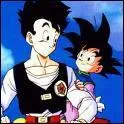 Qui sont les fils de Goku?