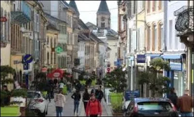Quel est le gentilé des habitants de Sarrebourg (Moselle) ?