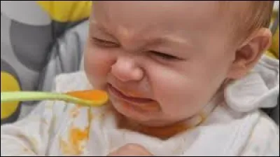 Tu donnes à manger à Chloé, soudain Chloé te recrache la nourriture sur ton visage ! Comment réagis-tu ?