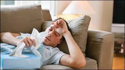 Quel type de cellule sanguine aide à combattre les microbes et les mange ?