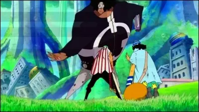 Qui sont les 3 derniers membres des Mugiwara (Chapeau de paille) à disparaître avant Luffy ?