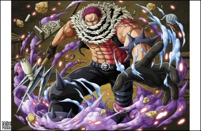 Pourquoi Katakuri se blessa-t-il contre Luffy ?