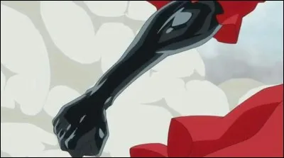 Qui a complété son corps en entier, de Haki défensif à Punk Hazard ?