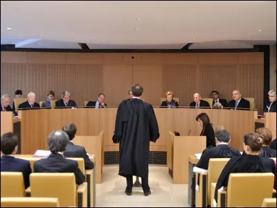 Qui est élu membre du Conseil constitutionnel ?