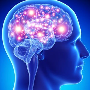 Quiz Sciences
