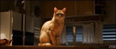 Un film de 2014 avec Ryan Reynolds dans lequel l'un des deux animaux est Monsieur Moustache. Quel est ce film ?