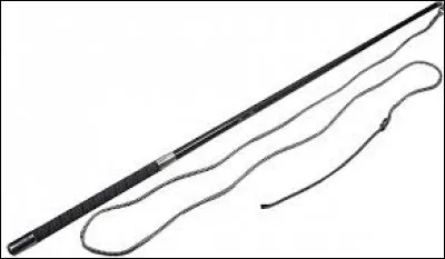 A quoi sert la chambrière ?