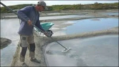 Grâce à quel outil prend-on la fleur de sel ?